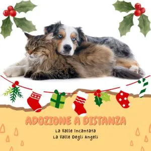 Responsible remote adoption as a Christmas gift