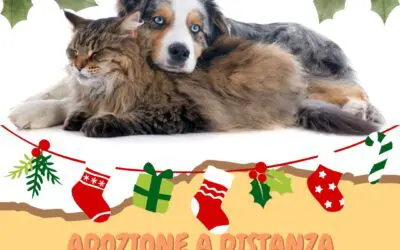 Christmas: Give a Gift That Warms the Heart!
