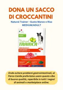 Donate a bag of special dry dog food