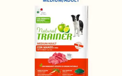 Help Us Feed the Shelter Dogs: Donate Food and Make a Difference ๐ถโค๏ธ