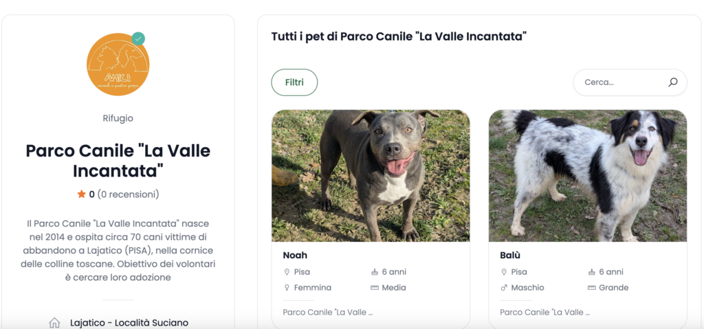 Empethy portale adozione cani