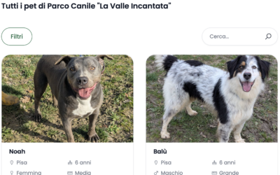 Scopri i Cani Adottabili con EMPETHY 🐾