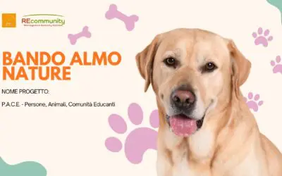 Bando Almo Nature 2025