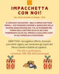 Wrap with Us, Christmas 2025 at Coop Pontedera