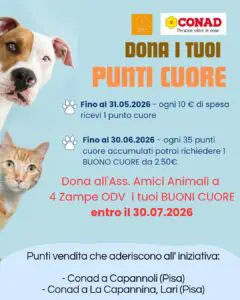 Conad Punti Cuore 2026 poster