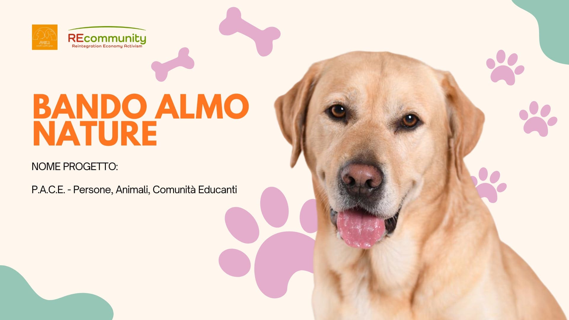 Bando Almo Nature 2025 | La Valle Incantata